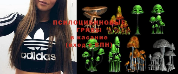 марки lsd Новозыбков