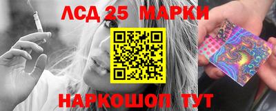 гидра Новозыбков