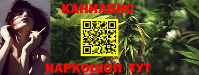 гидра Новозыбков