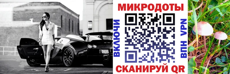 мориарти официальный сайт  купить   Тихорецк  Псилоцибиновые грибы Psilocybe 