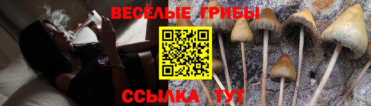 Тихорецк  Псилоцибиновые грибы Psilocybine cubensis  Галлюциногенные грибы MAGIC MUSHROOMS  Вход с VPN 